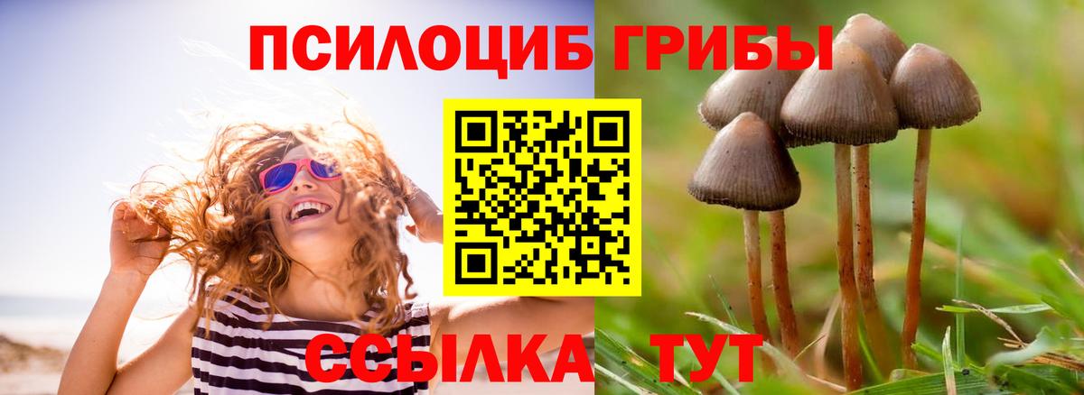 Ишим  Псилоцибиновые грибы MAGIC MUSHROOMS  Вход с VPN 